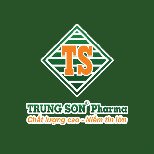 Trung Son logo 02