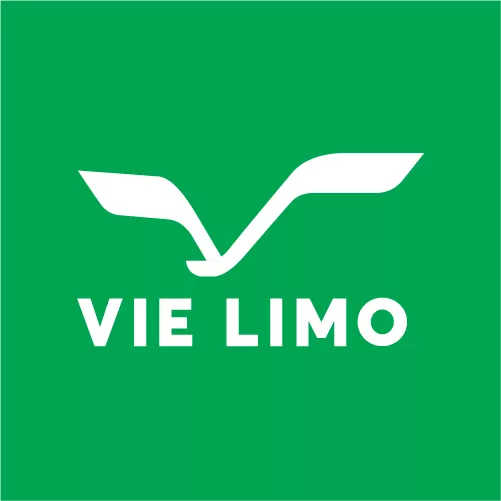 VieLimousine logo 02
