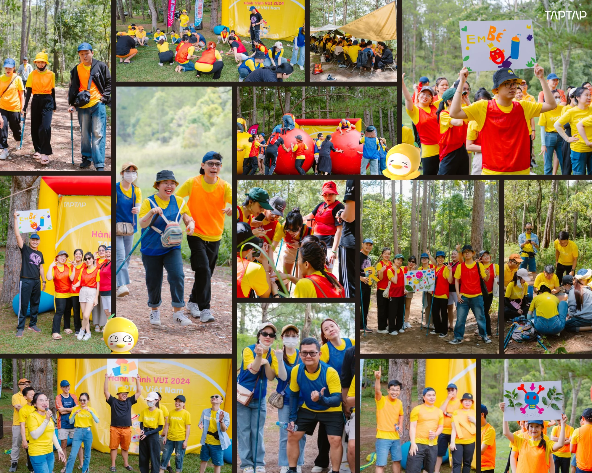 Hành trình VUI - Company Trip 2024 1 1