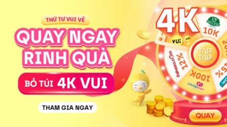 T4VV W3 INAPP