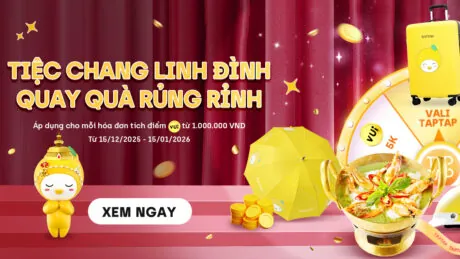 taptap tiec chang linh dinh